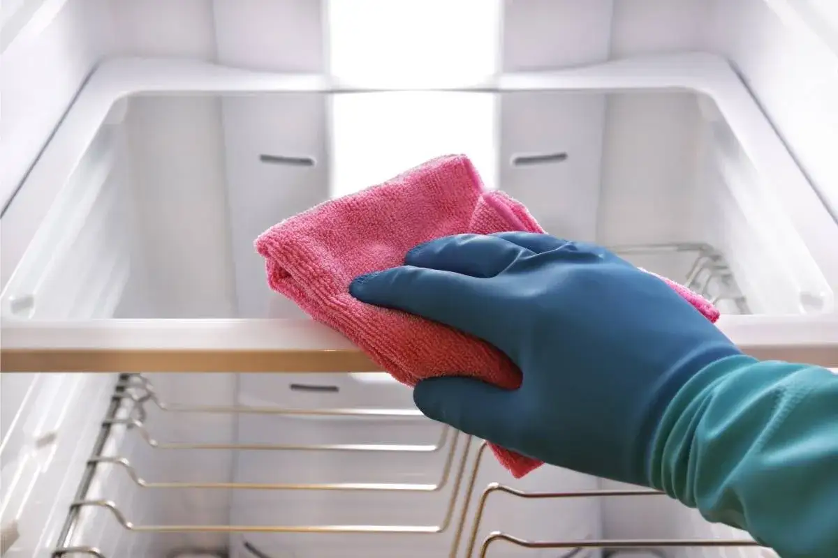 Zdjęcie Skuteczne sposoby na to, jak usunąć pleśń z uszczelki lodówki i ją utrzymać czystą